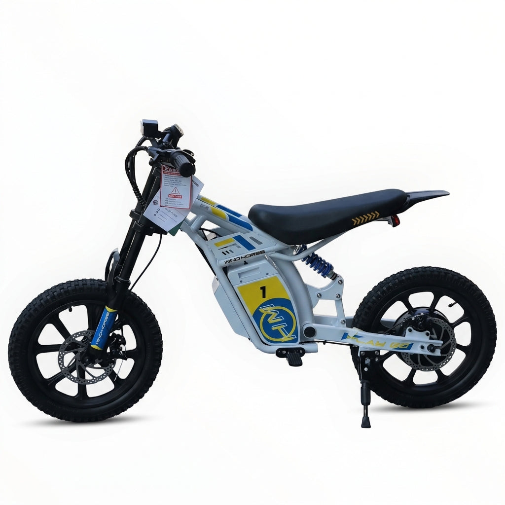 WIND HORSE P6 Electric Bike